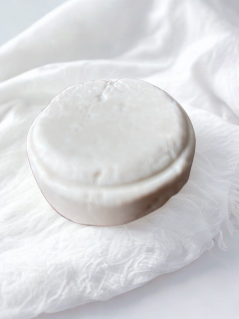 Solid shampoo bar on white background