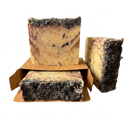Creamy Cocoa and Vanilla Bean Soap bars on solid white